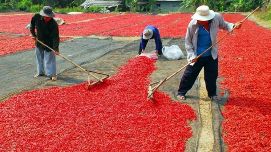 Farmers blamed as they suffer falling prices