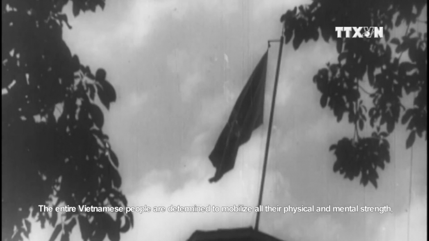 Special national flag of Vietnamese expatriates in France