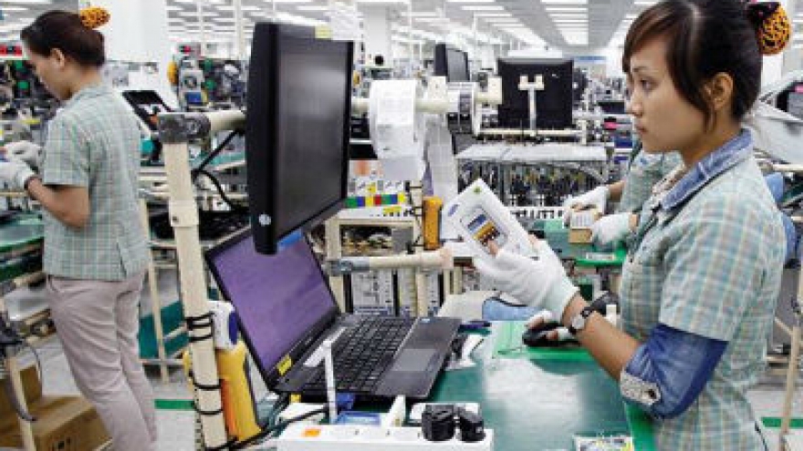 Confidence booms as domestic economy blooms