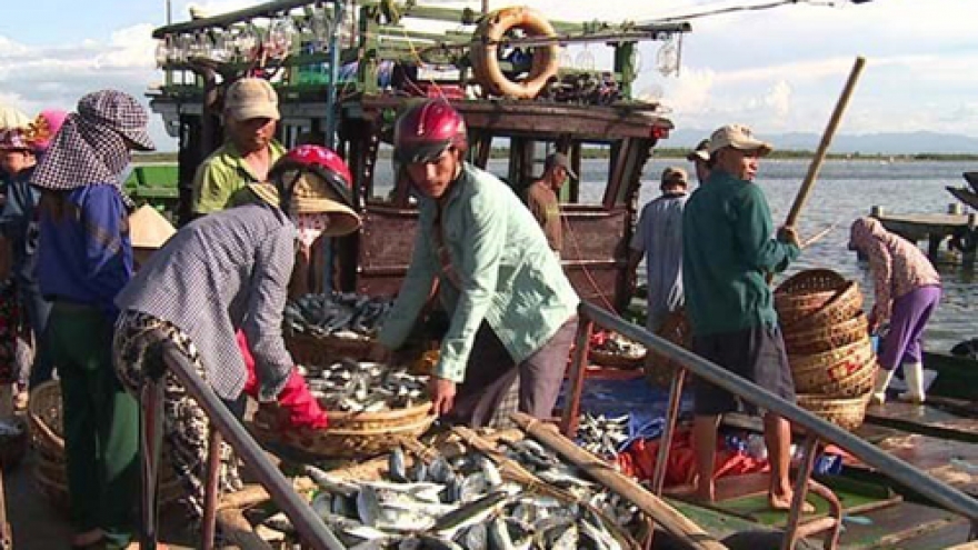 Thua Thien-Hue continues distributing compensation for fishermen