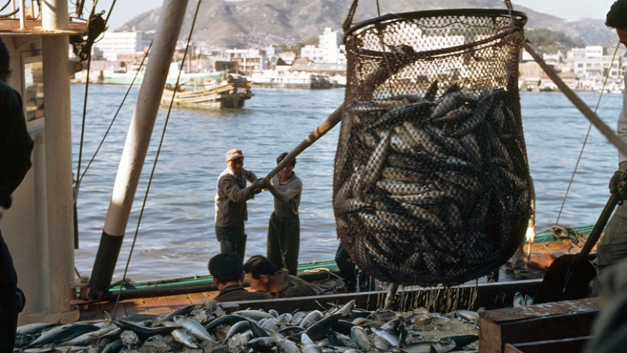 Thailand, Vietnam increase collaboration against illegal fishing