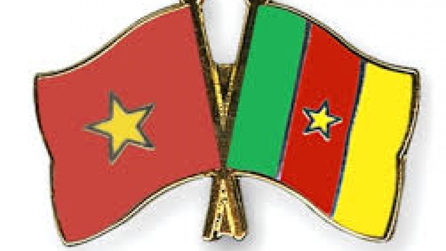 Vietnam, Cameroon to celebrate 45 years of diplomatic relations