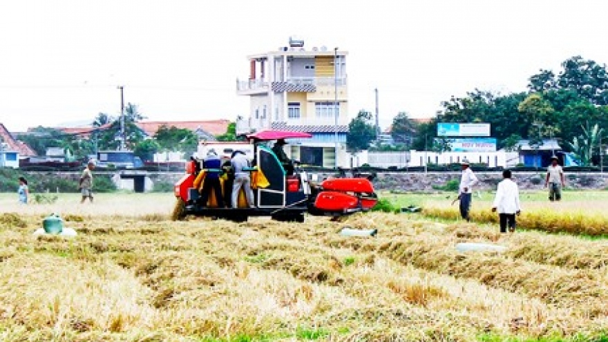 Khanh Hoa develops rural areas