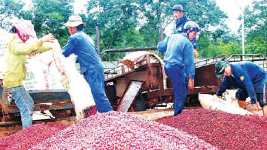 Vietnam to set up export channel to Italy