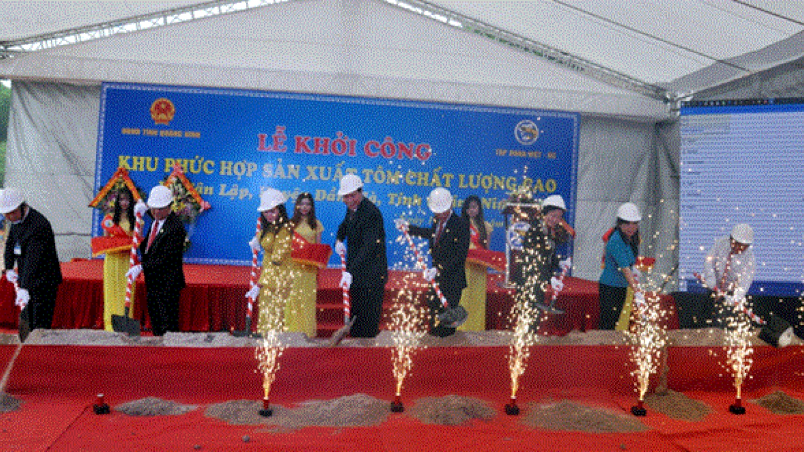 Quang Ninh builds high-quality shrimp breeding complex