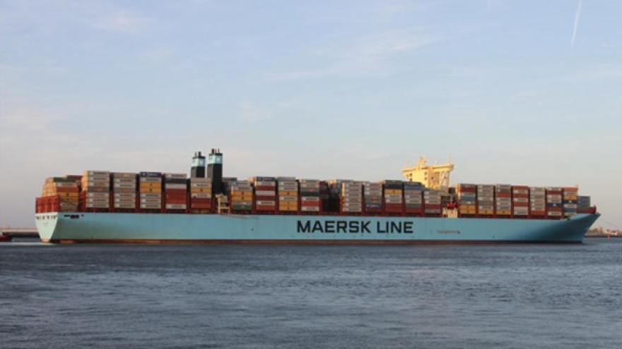 Giant Triple-E container ship docks at Cai Mep int’l terminal