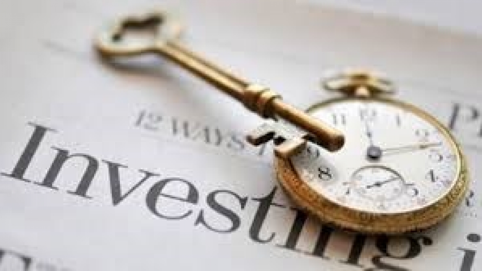 Vietnam attends investment promotion event in India