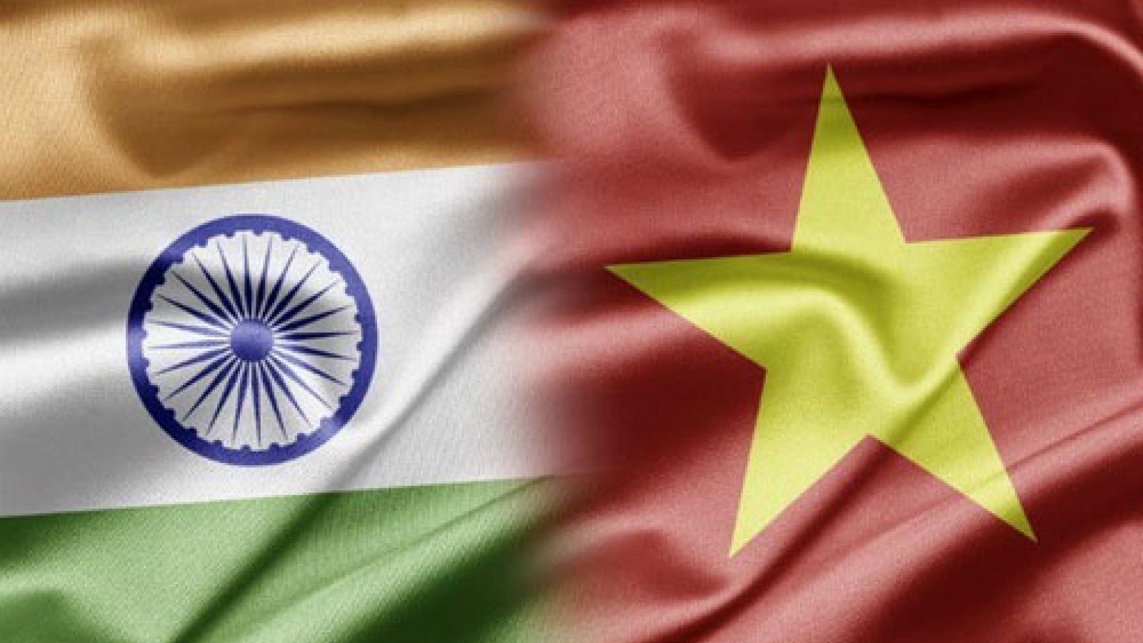 Vietnam-India diplomatic relationship marked in HCM City