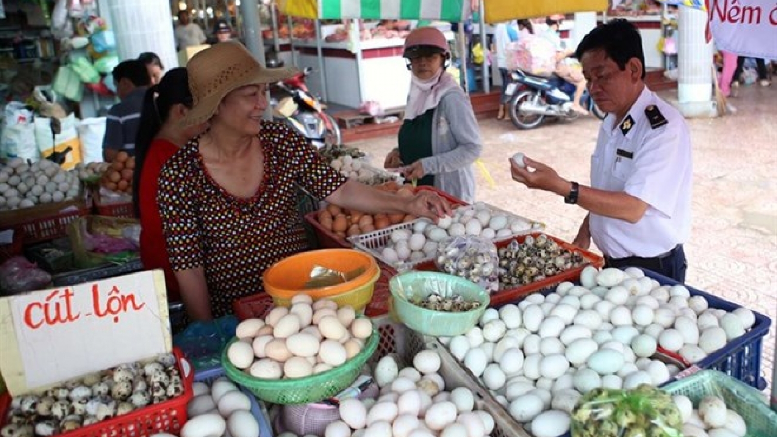Health ministry to up specialised food safety inspections in cities