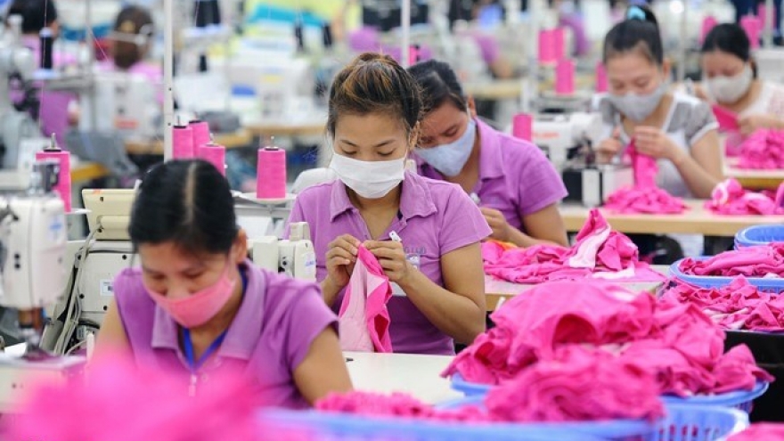 8,000 firms owe social insurance fees