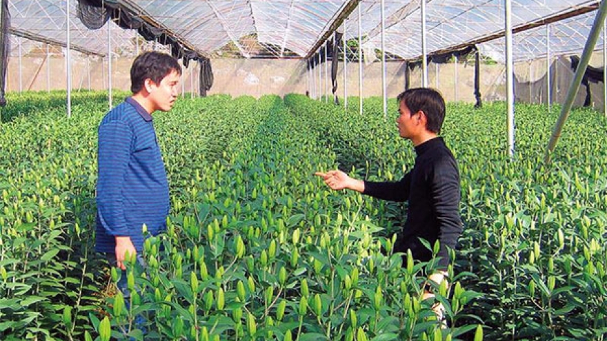 Pitfalls in hi-tech agricultural investment