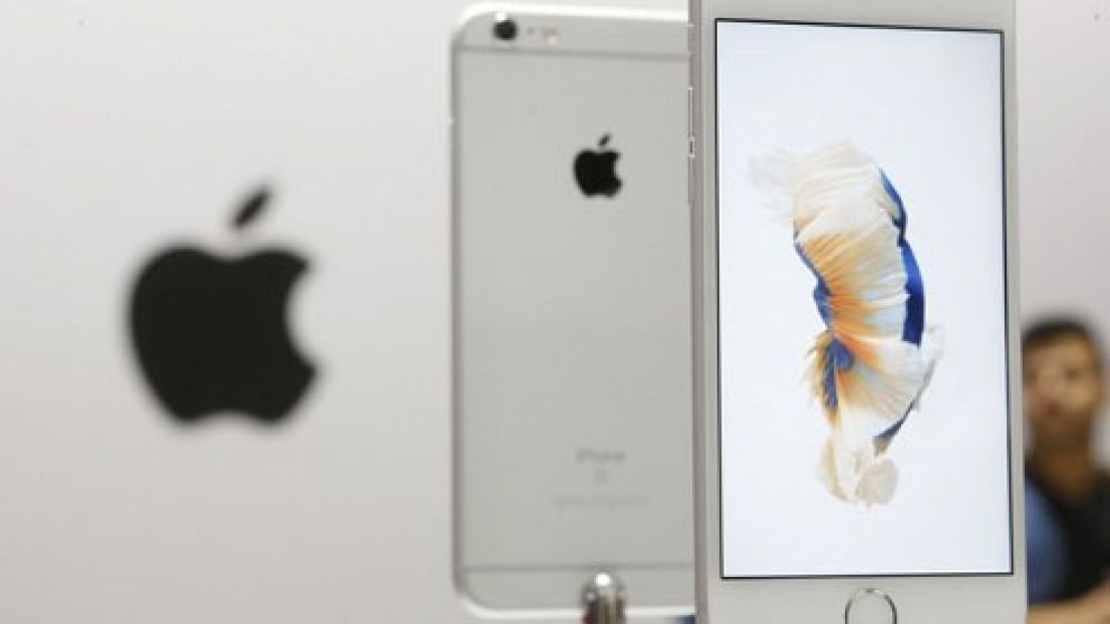 Vietnam phone traders pay people to queue for iPhone 6S launch in Singapore