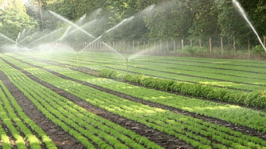 Ninh Thuan farmers benefit from modernised irrigation technology