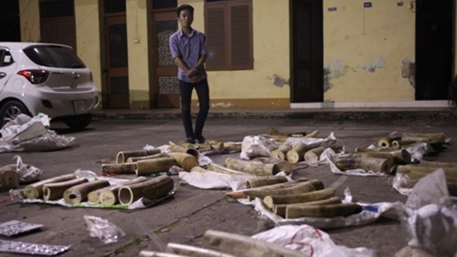 Man caught with over 500 kgs of ivory, allegedly tries to bribe police