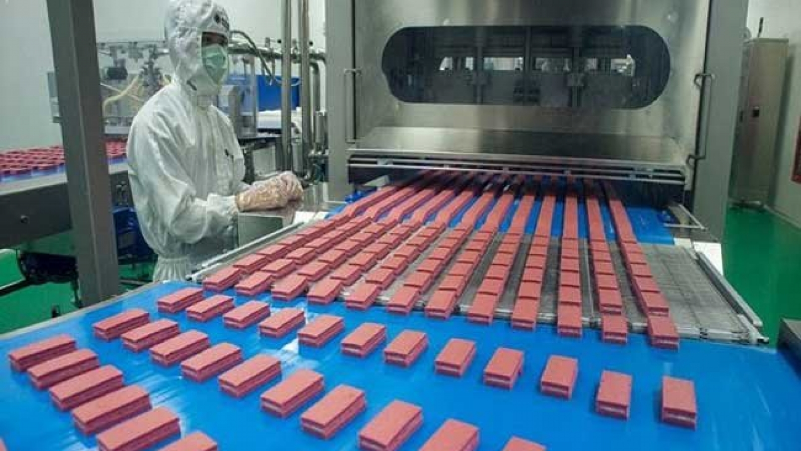 Japanese firm acquires 10% of major Vietnamese agriculture company