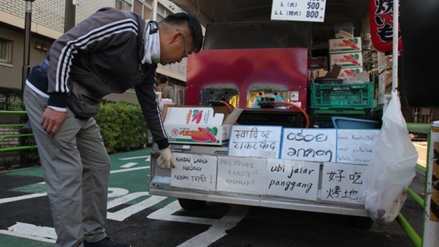 Vietnamese tourists in Japan rise 30%