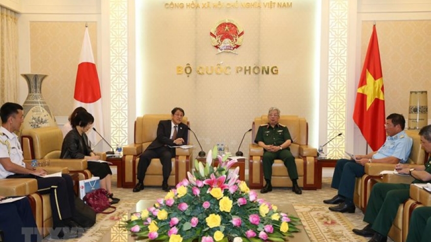 Vietnam, Japan boost cooperation in war consequence settlement