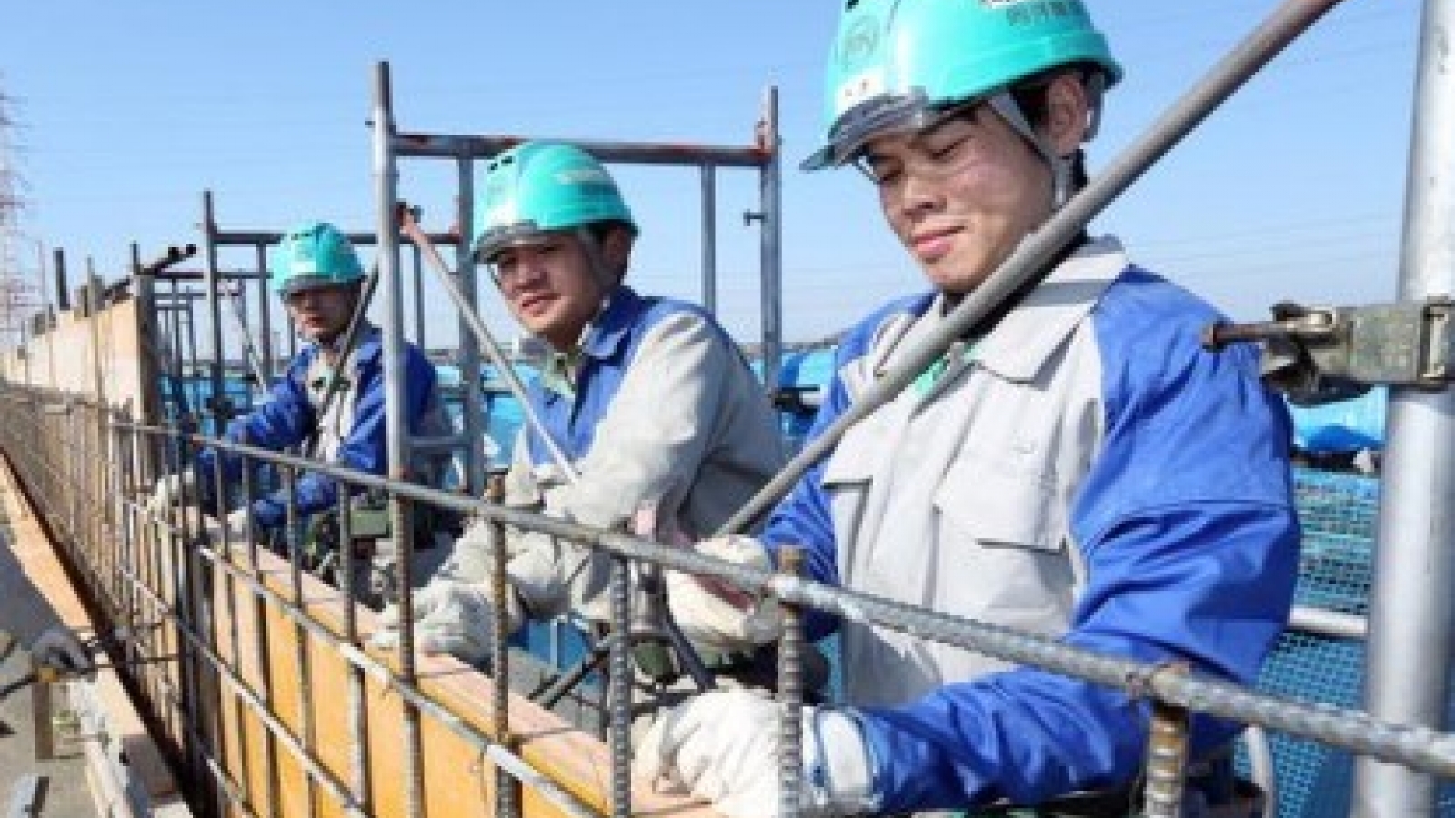 Japanese company asked to protect Vietnamese workers’ rights