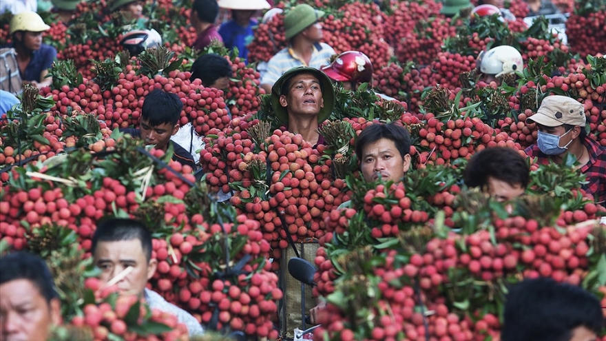 Impressive photos taken by Hanoi journalists put on display