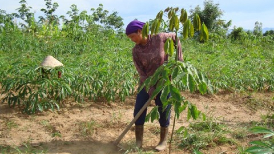 Poverty reduction project improves livelihoods in Kon Tum