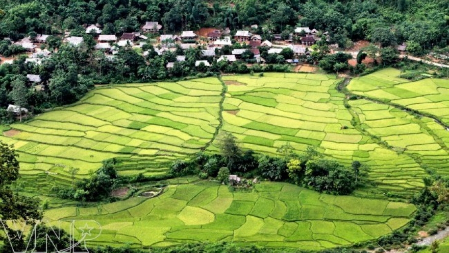 Pu Luong Nature Reserve protects rare animals