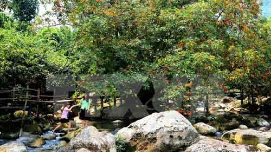 48 rare animals released into Phong Nha – Ke Bang National Park