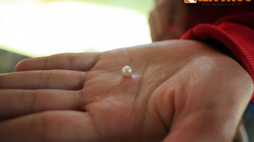 Discovering pearl farming in Phu Quoc island