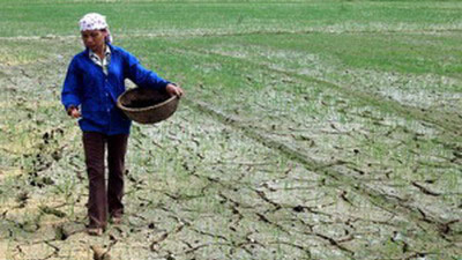 Vietnam effectively uses WB, ADB loans
