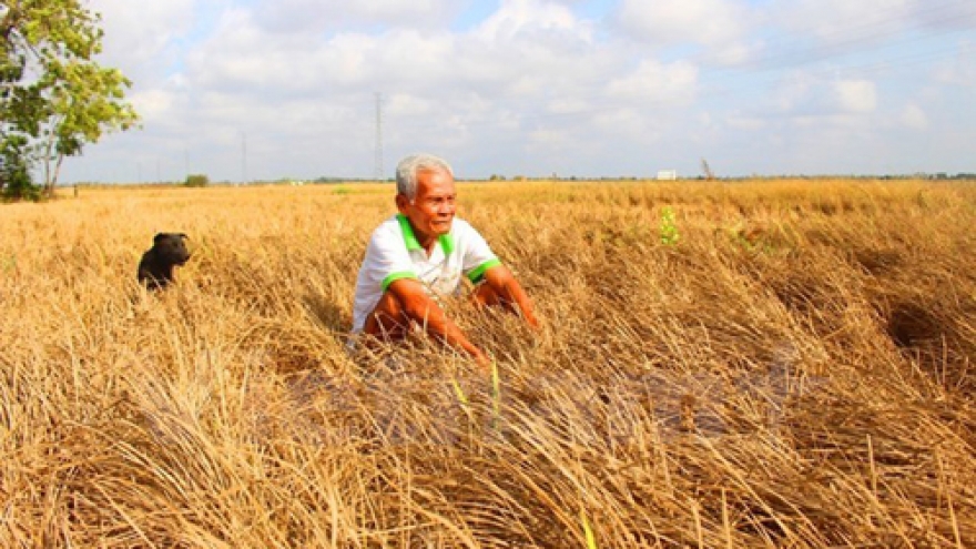 Thanh Hoa province calls for international non-governmental aid