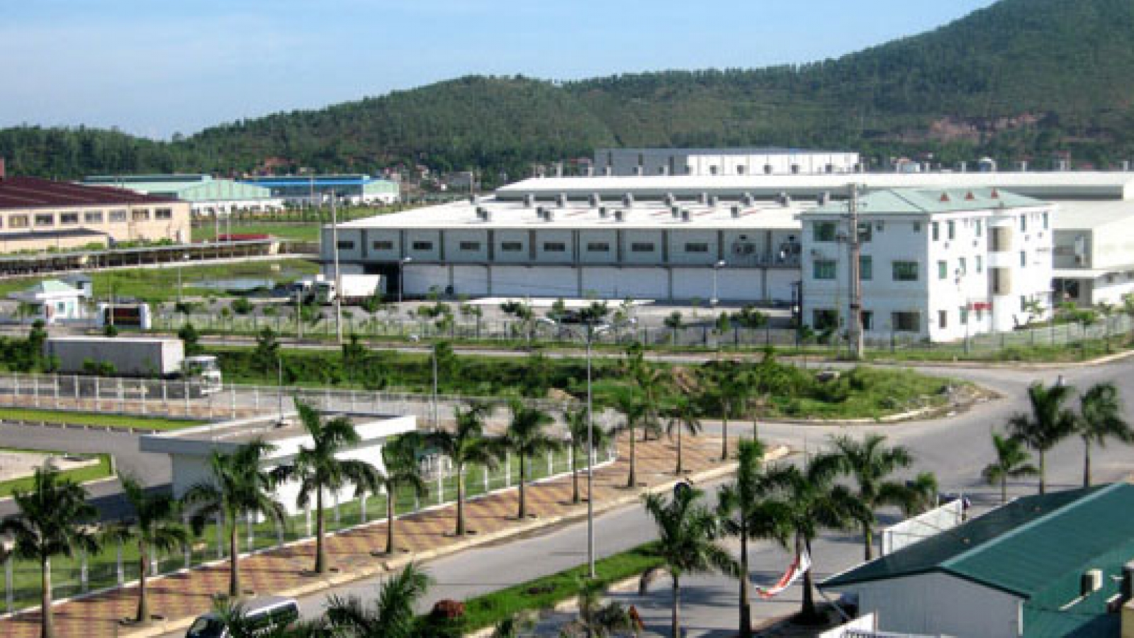 Localities play key role in international cooperation