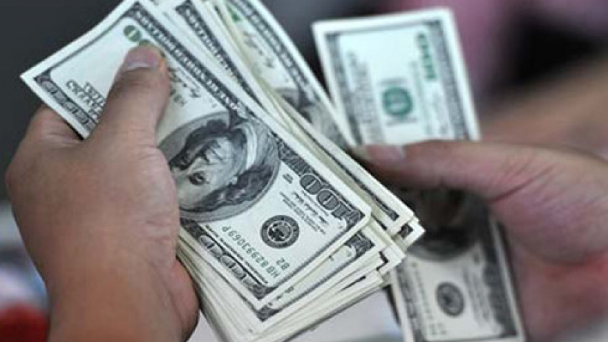 HCM City remittances remain robust in 2016