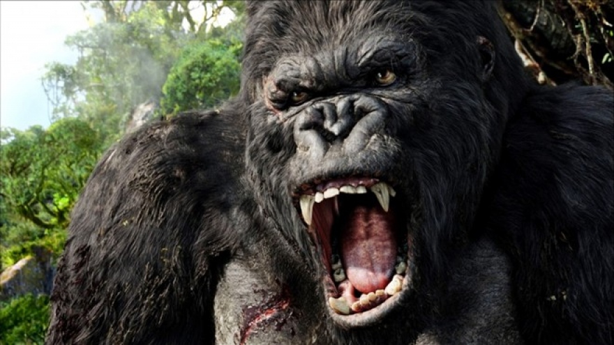  ‘King Kong 2’ film crew to tour Vietnam