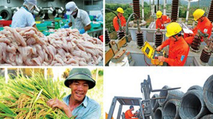 Vietnam’s positive economic development hailed