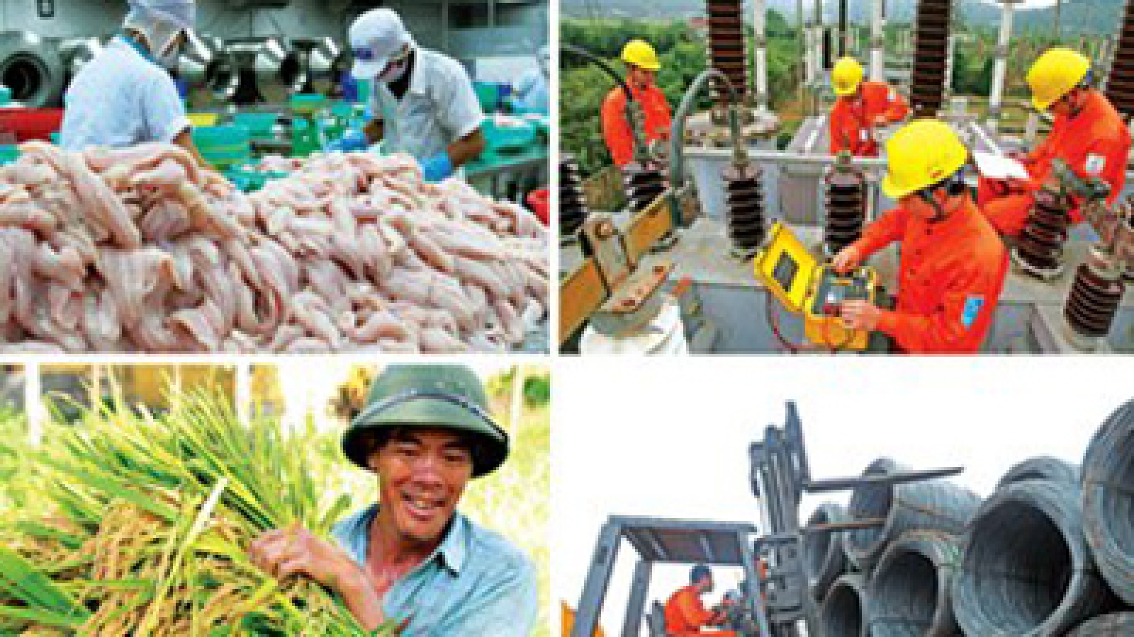 Vietnam’s positive economic development hailed