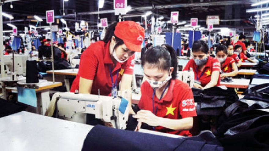 New Vietnam-WB Group strategy focuses on environmental sustainability 