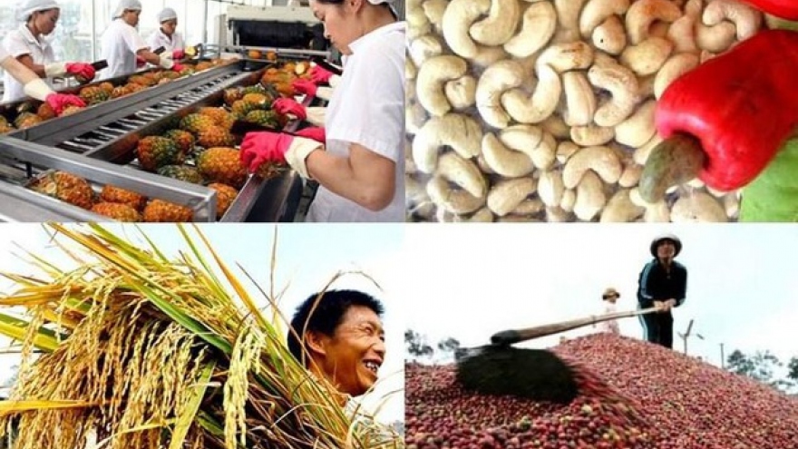 Vietnamese farmers: Opportunities and challenges in global integration