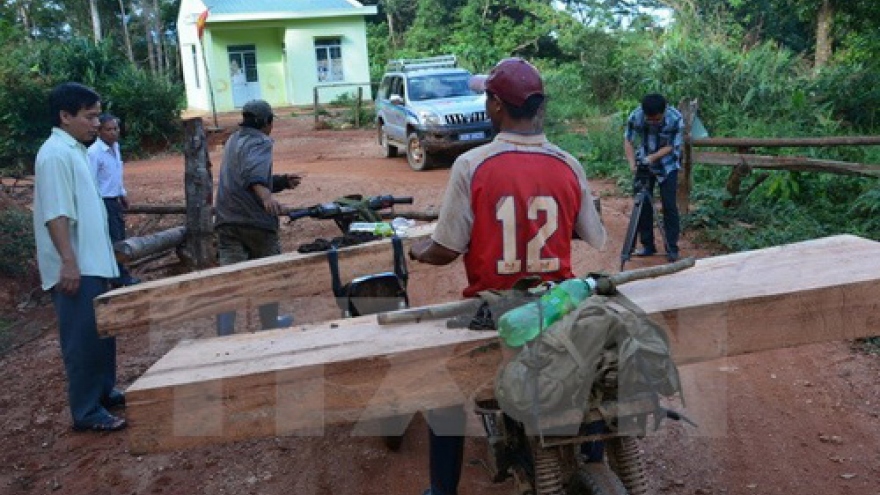 PM asks for investigating deforestation in Kon Tum