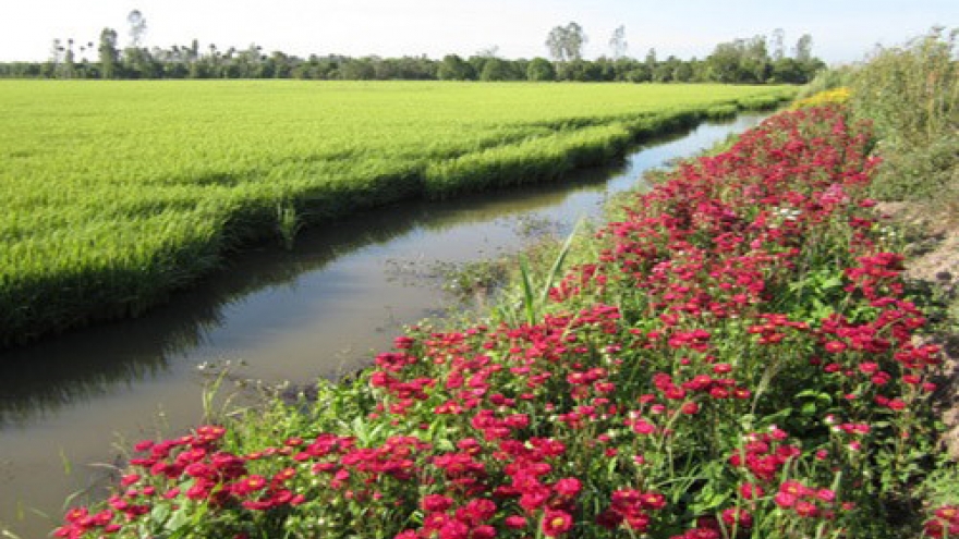 “Rice field with flower bank” model