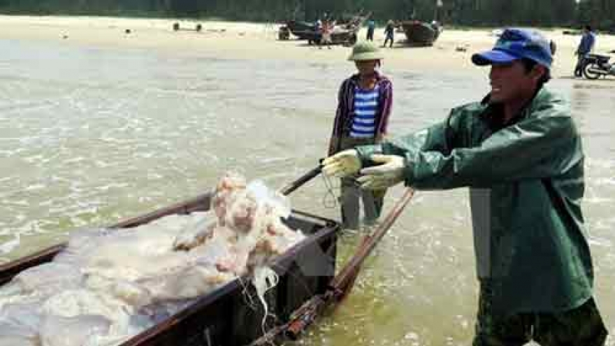 Committee to help victims of environmental incident in central region