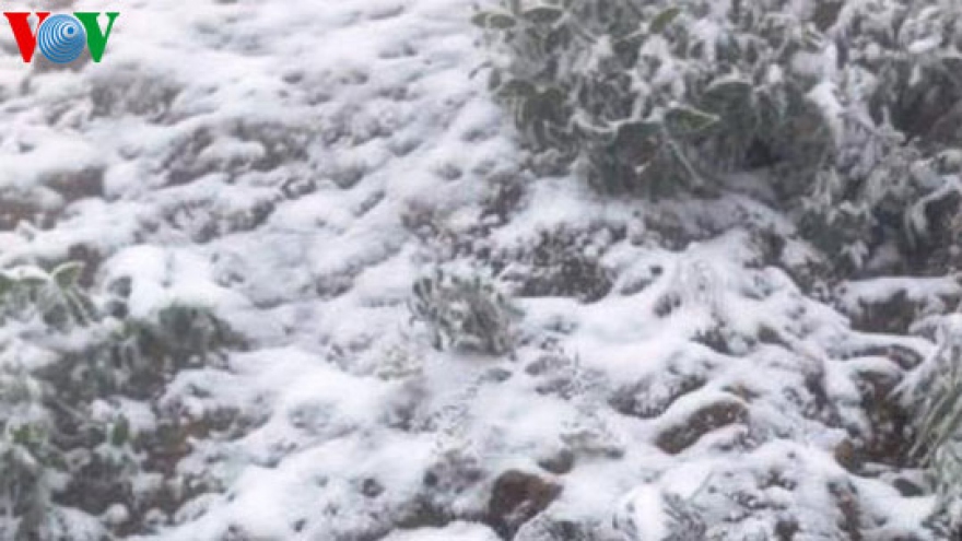 
        Snow falls over 20 places in Vietnam
                              