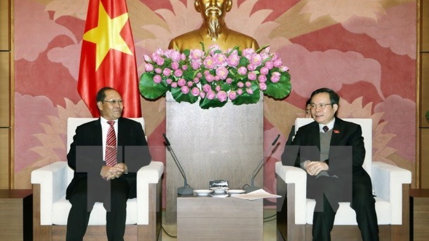 Vietnam treasures special ties with Laos