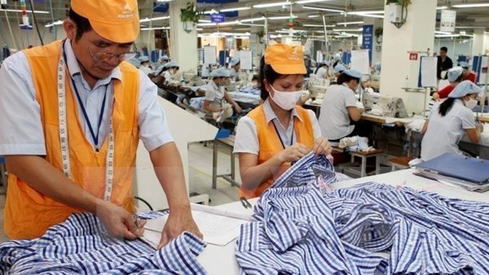 Vietnam not taking advantage of free labour mobility