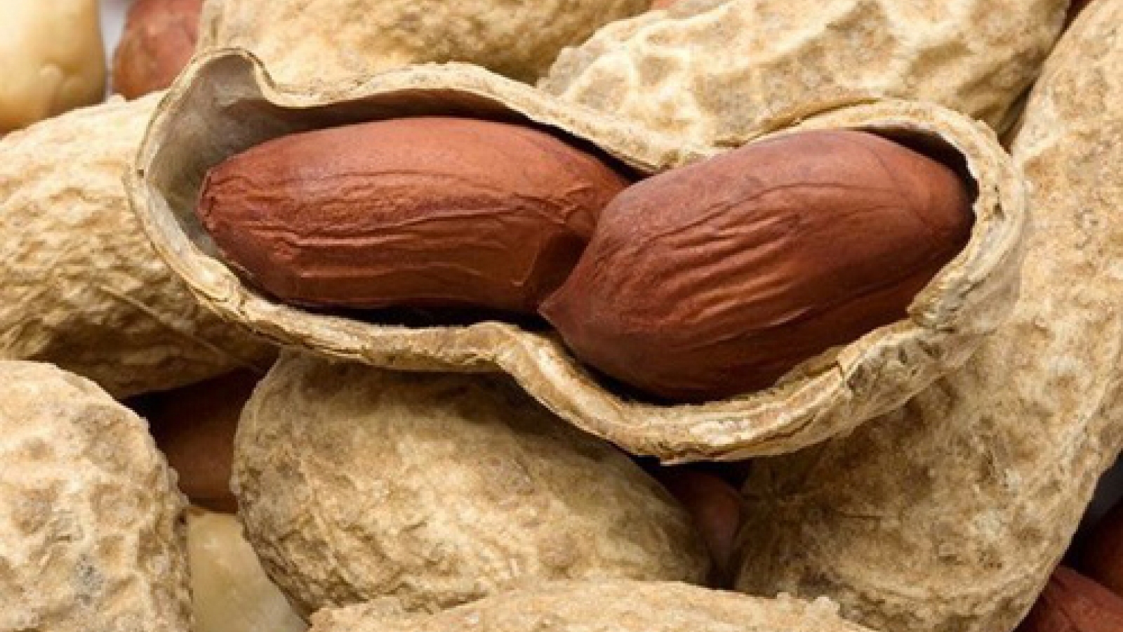VN suspends import of US dried grains, peanuts from Sudan, Hong Kong