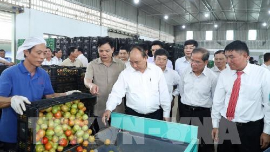 PM suggests agriculture triangle for Lam Dong development model