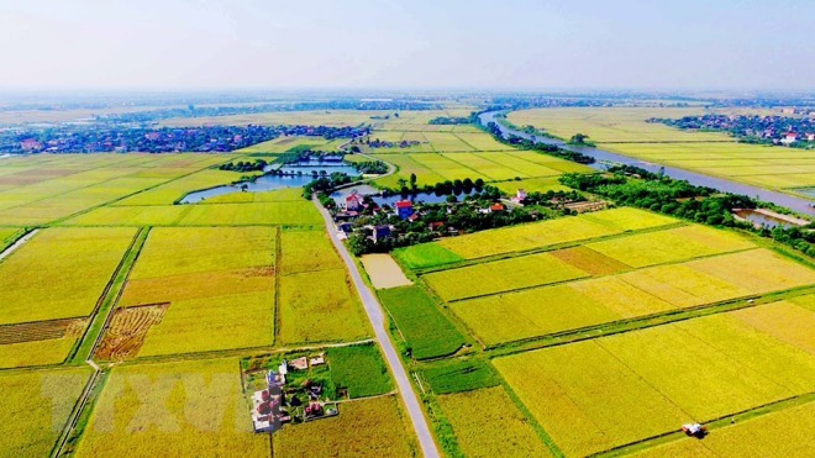 Agricultural land use market needs updated legal framework