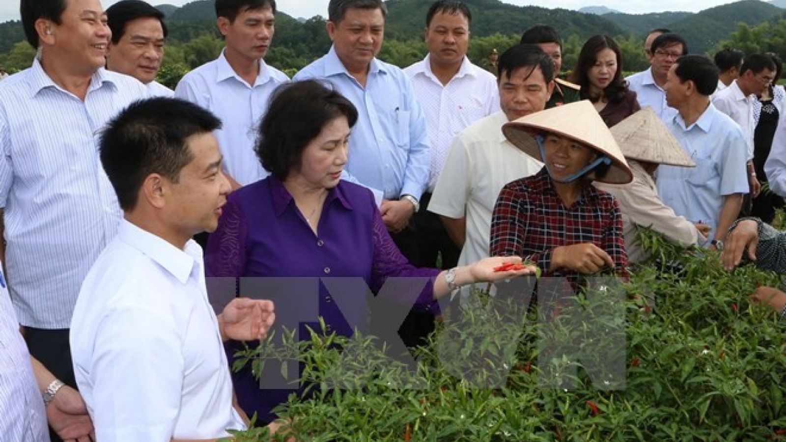 Lang Son required to better investment environment