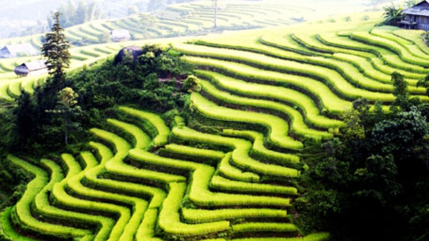 Vietnam-China trade fair reaps rich benefits