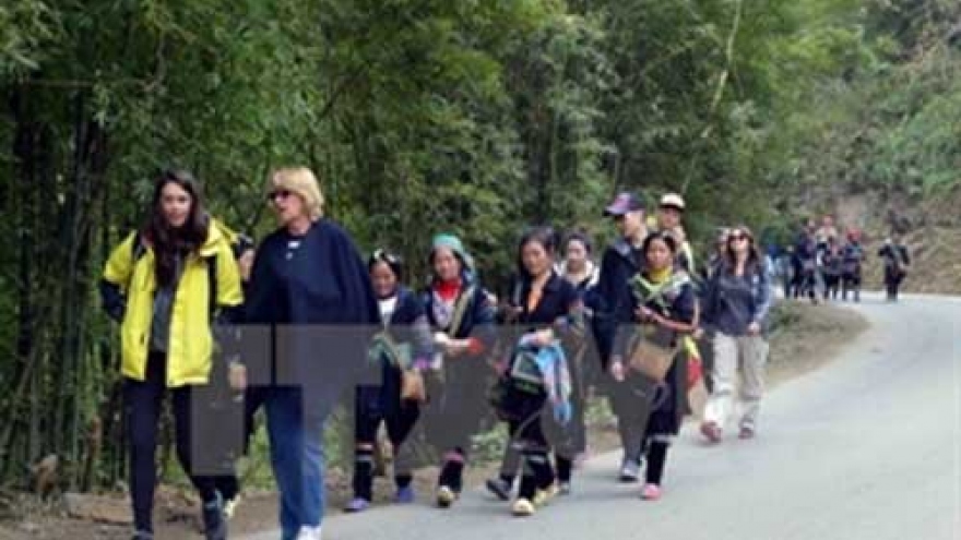 French experts help Lao Cai design tourism plans