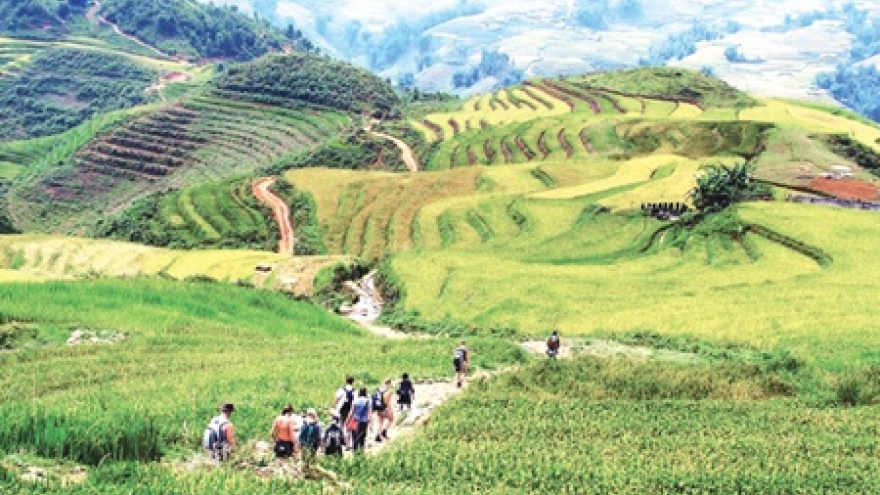 Lao Cai braces for ‘tourism year'