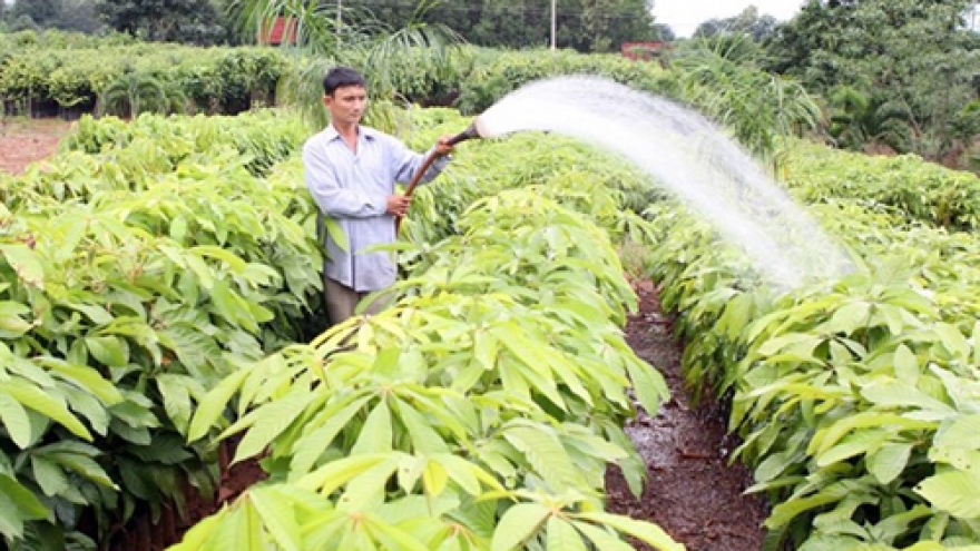 Stronger forestry laws needed: officials